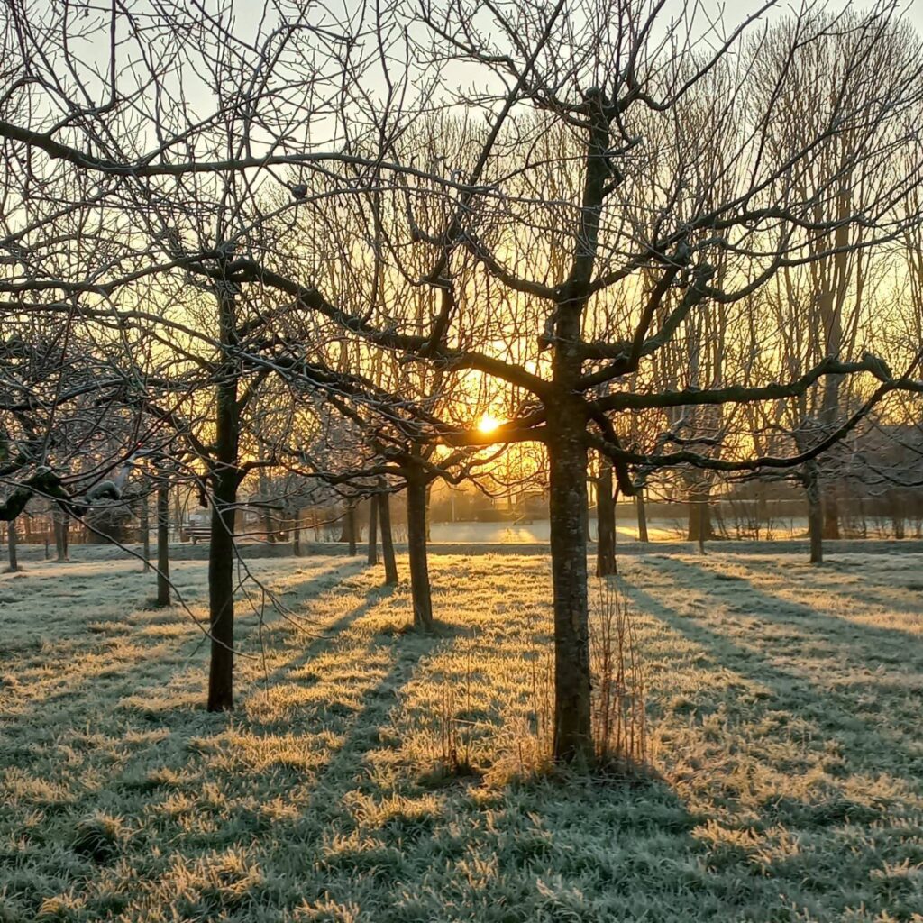 Kinesiologie Marjon Montfoort