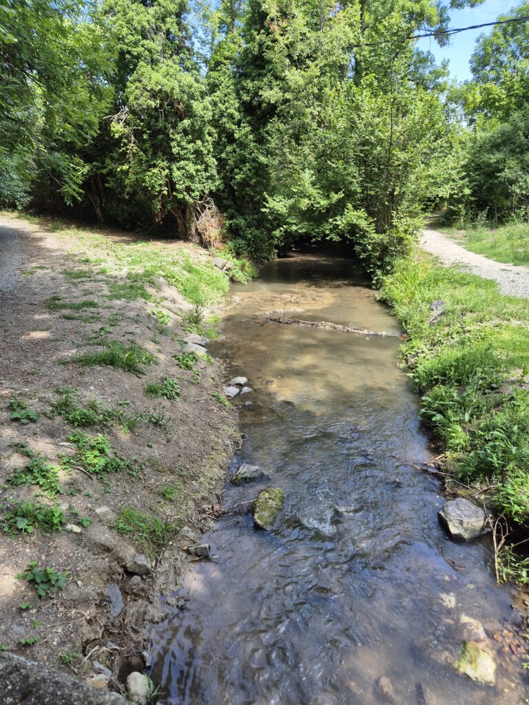 natuur Kinesiologie Marjon Montfoort